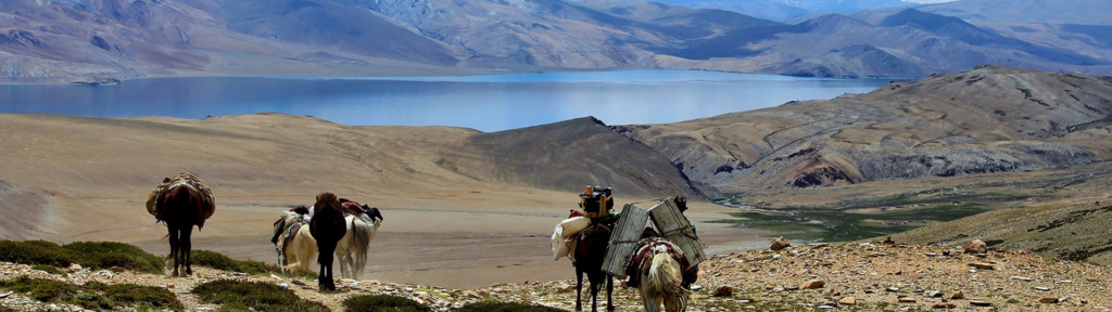 9-day rumtse to tsomoriri trek