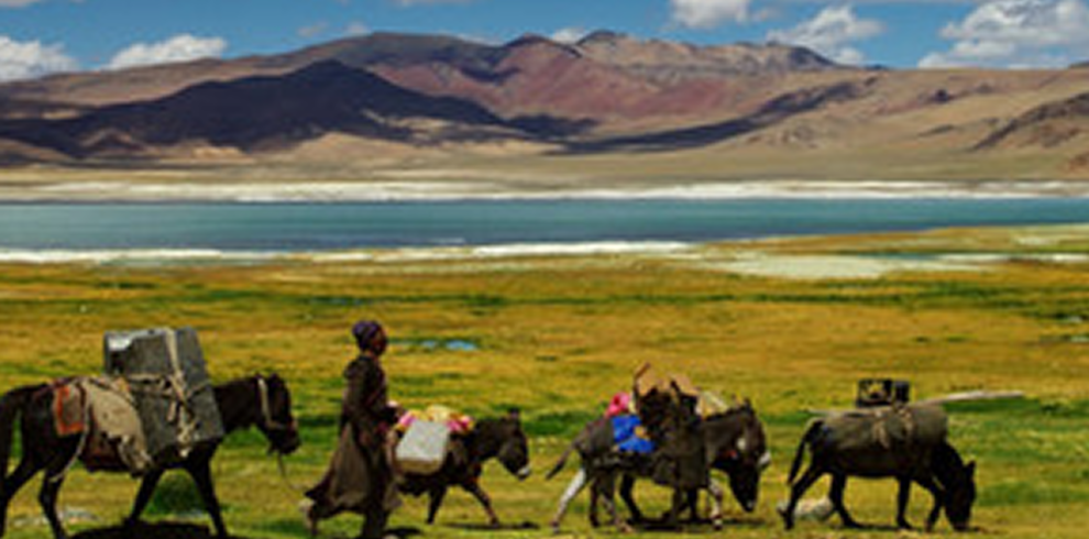 Tsomoriri Lake